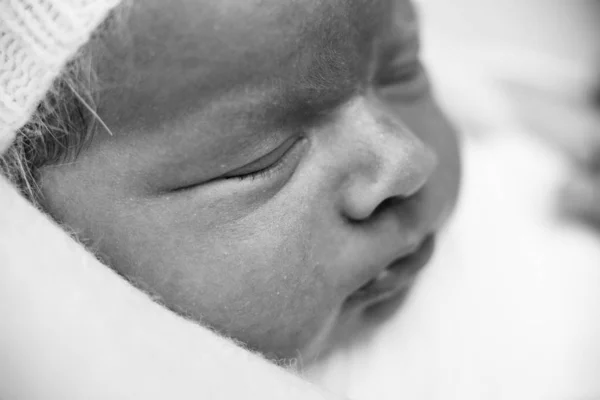 Yeni Doğmuş Bebek Yüzlü Makro — Stok fotoğraf