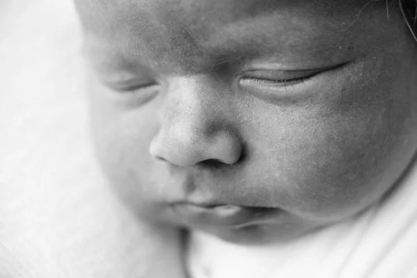 Yeni Doğmuş Bebek Yüzlü Makro — Stok fotoğraf
