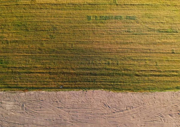 Prairie Coupée Sec Avec Champ Terre Divisée Vue Aérienne — Photo