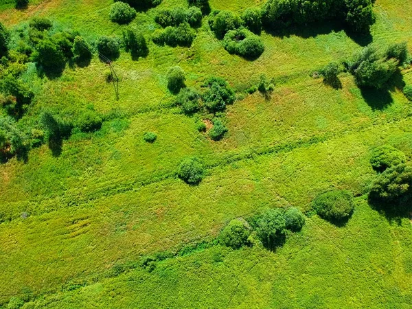 Зеленый Пейзаж Луга Деревьями Кустарниками Вид Воздуха — стоковое фото