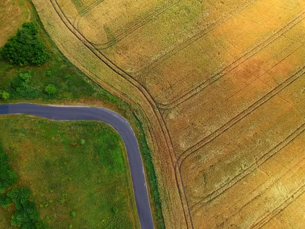 Straßenabbiegung Zwischen Weizenfeldern Und Streuobstwiese Mit Bäumen Luftaufnahme — Stockfoto
