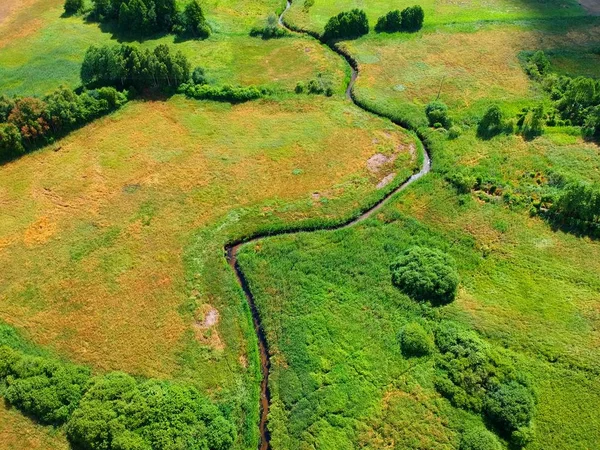 绿树与黄草地之间的河流鸟瞰图 — 图库照片