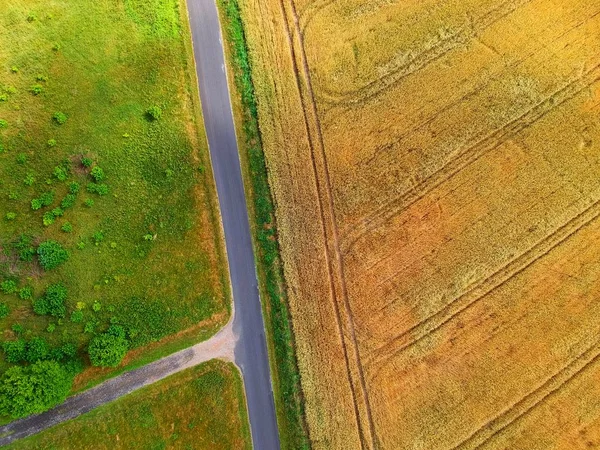 Intersecção Rodoviária Com Campos Trigo Prados Árvores Vista Aérea — Fotografia de Stock