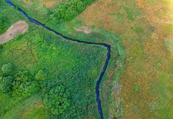 Rio Flui Através Prado Verde Com Árvores Vista Aérea — Fotografia de Stock