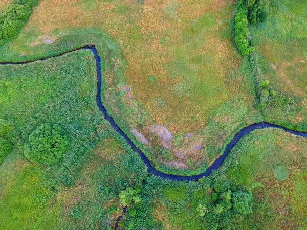 Река Течет Зеленому Лугу Деревьями Видом Воздуха — стоковое фото