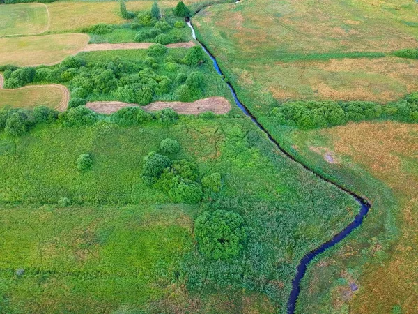 河流经绿色的草甸与树木 鸟瞰图 — 图库照片