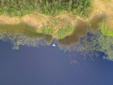 Eski ahşap platform sakin lakem orman ve reed, havadan görünümü.
