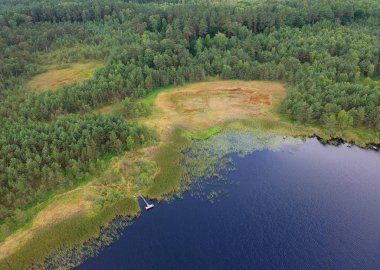 Eski ahşap platform sakin lakem orman ve reed, havadan görünümü.