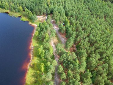 Çamur göl yüzeyi, orman ve kıyı havadan görünümü.