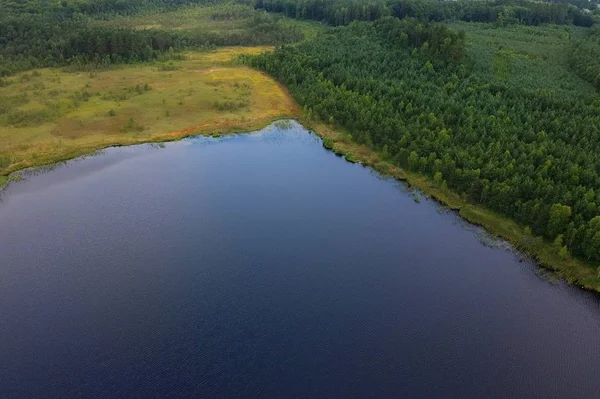 Vista Aérea Sobre Superficie Del Lago Barro Bosque Orilla — Foto de Stock