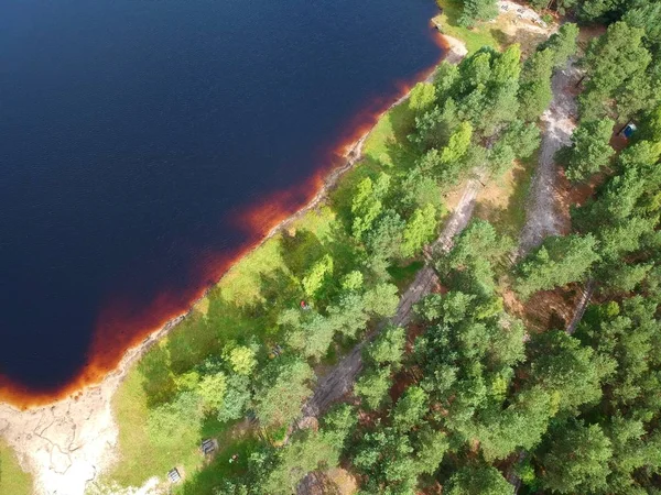 Vista Aérea Sobre Superficie Del Lago Barro Bosque Orilla — Foto de Stock