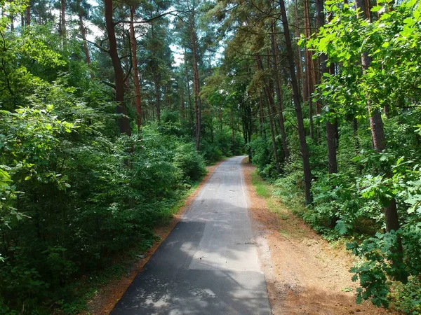 Old Jalan Tengah Hutan Gelap Dan Padat Pandangan Udara — Stok Foto