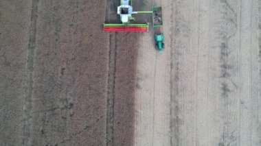 Toplama ve tahıl kamyon römork için aktarma hasat birleştirmek.