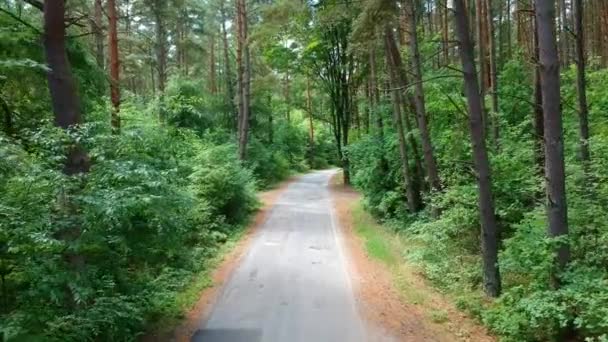 Voando Lentamente Sobre Estrada Velha Meio Floresta Escura Densa — Vídeo de Stock