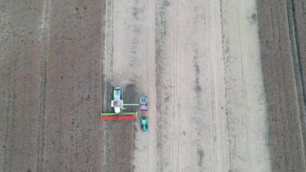 Combineren Van Harvester Verzamelen Overbrengen Van Graan Naar Vrachtwagen Aanhangwagen — Stockvideo