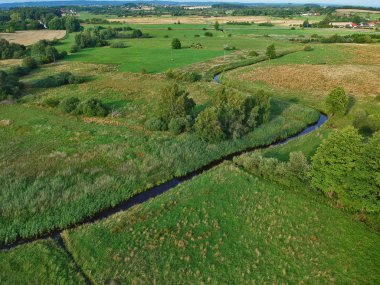 Ağaçlar, havadan görünümü ile yeşil çayır nehir akıyor.