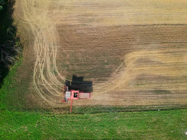 Luftaufnahme Der Erntemaschine Während Der Ernte Auf Dem Feld — Stockfoto