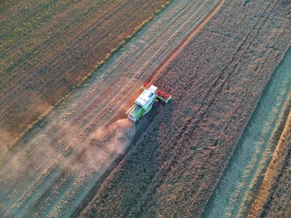 Combine Harvester Collecting Grain Wheat Field Aerial View Harvest — Stock Photo, Image