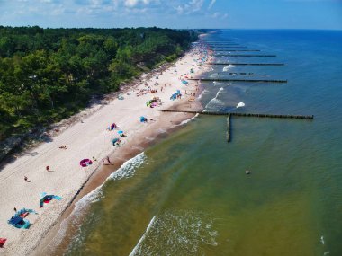 Kum plaj, dalgakıranlar, orman ve güneşlenenbirileri varsa havadan görünümü.