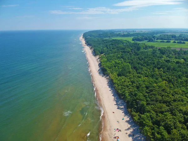 Вид Повітря Балтійську Морську Воду Чистим Піщаним Пляжем Лісом — стокове фото