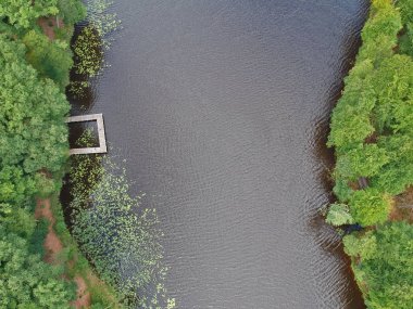 Göl kıyısı platformu ile yeşil orman, göl ve su bitkileri havadan görünümü.
