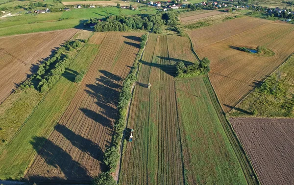 Вид Воздуха Комбайн Время Посевов Пшеничном Поле — стоковое фото