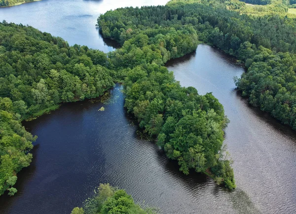 Aerial View Green Forest Big Two Lakes Water Wave Wrinkle — Stock Photo, Image