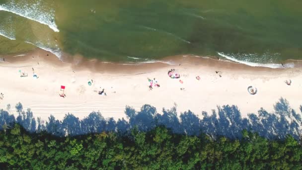 Aerial View Sand Beach Sunbathers Sea Waves Forest — Stock Video