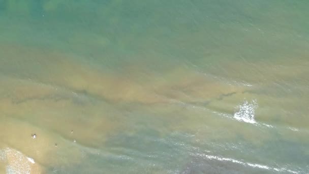 Aerial View Swimmers Shallow Sea Shore Turquoise Water Waves — Stock Video