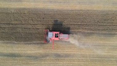 Üzerinde kesme ve malçlama çalışma biçerdöver buğday alanında, havadan görünümü.