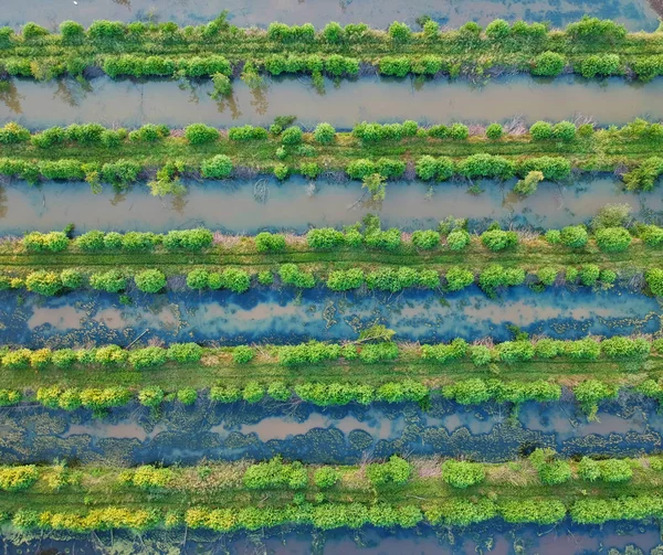 Luftaufnahme Der Ökologischen Wasseraufbereitungsanlage — Stockfoto