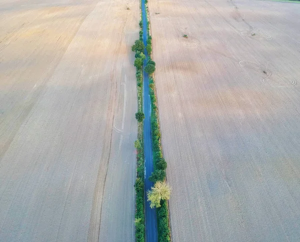 Вид Воздуха Прямую Узкую Асфальтовую Дорогу Центре Пшеничного Поля — стоковое фото