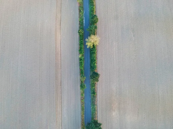 麦畑の中心にまっすぐ狭いアスファルト道路の空中写真 — ストック写真