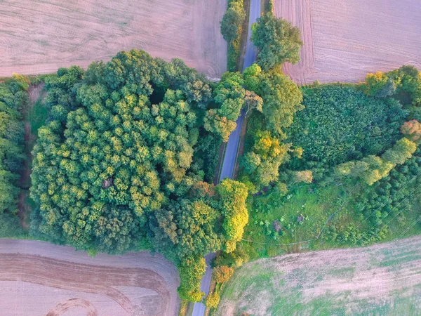 Вид Воздуха Зеленый Лес Посреди Пшеничного Поля — стоковое фото