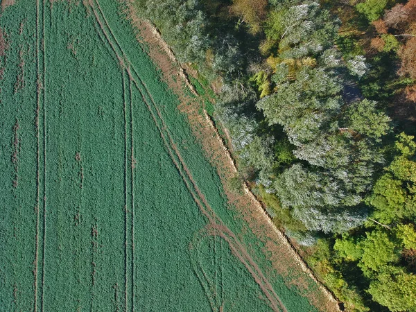 Вид Воздуха Лес Зеленое Поле Разделенное Полевой Дороге — стоковое фото
