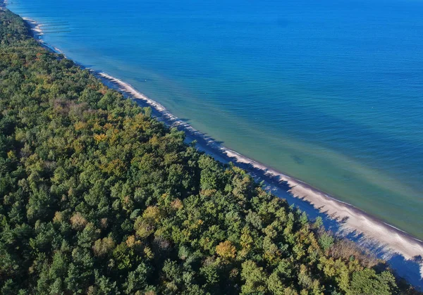 Vista Aérea Sobre Paisaje Con Mar Playa Arena Bosque Verde —  Fotos de Stock