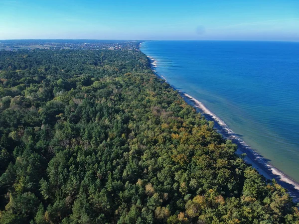 Vista Aerea Sul Paesaggio Con Mare Spiaggia Sabbia Foresta Verde — Foto Stock