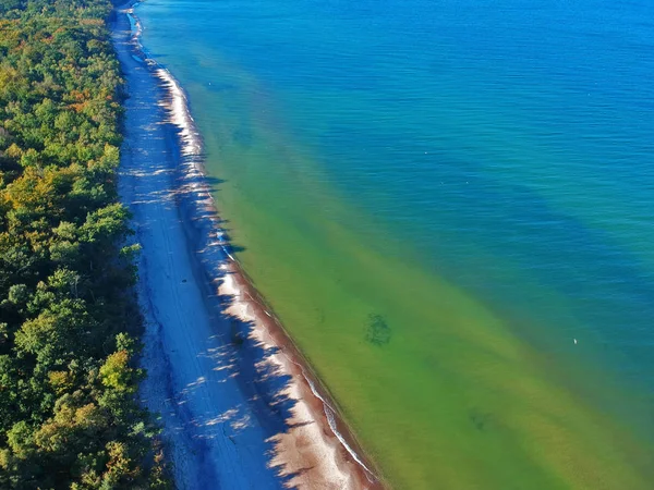 Vista Aerea Sul Paesaggio Con Mare Spiaggia Sabbia Foresta Verde — Foto Stock