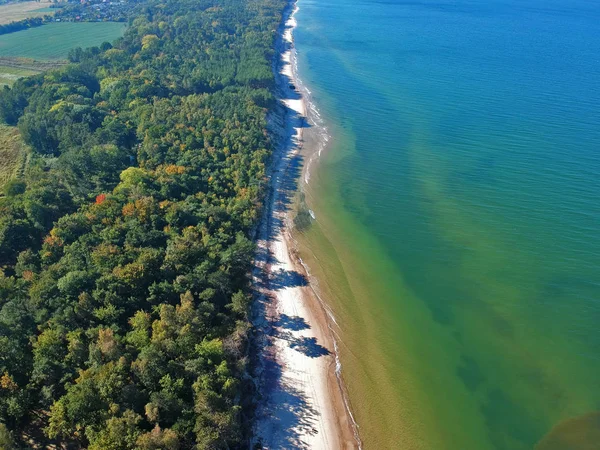 Вид Повітря Пейзаж Морем Піщаним Пляжем Зеленим Лісом — стокове фото