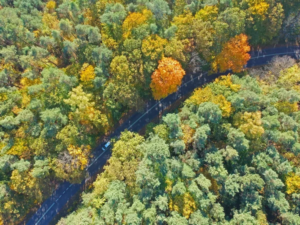 Vista Aérea Sobre Carretera Asfalto Oculta Curvada Bosque Mixto Durante —  Fotos de Stock