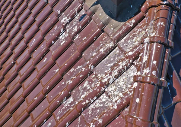 조류 배설물의 거대한 숫자와 더러운 골판지 지붕에 공중보기. 부정 타일 문제가있는 옥상 — 스톡 사진