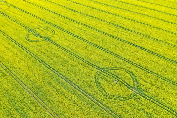 Vista de perspectiva aérea sobre el campo amarillo de las huellas de colza y tractores en flor — Foto de Stock