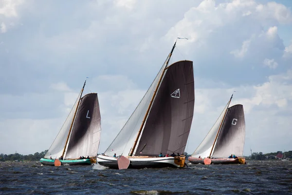 Elahuizen Friesland Nederländerna Augusti 2018 Skutsjesilen Frisiska Regatta Med Skutsjes Stockfoto