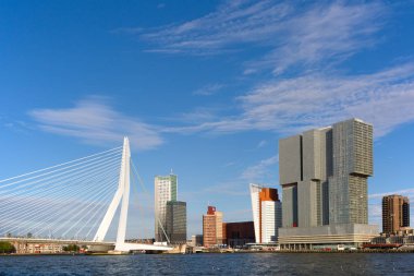 Erasmus bridge ile Rotterdam şehir scape