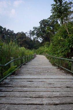 Gede düzenlenen dağın ormanın ortasında doğal yolu