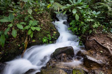Çok güzel uzun pozlama akışı Gede düzenlenen dağın ormanın ortasında