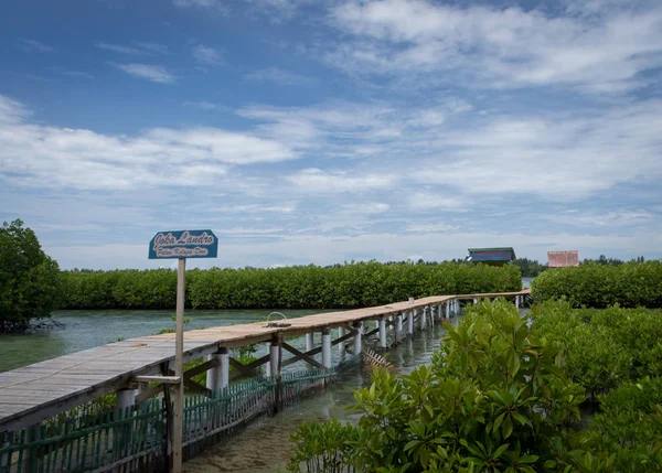 Kelapa Island, Indonésia - 24 de dezembro de 2017: Joka Landro, ponte de madeira que leva a dois chalé flutuante no meio da floresta de manguezais — Fotografia de Stock