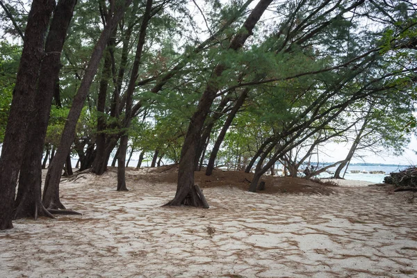 Uma ilha em torno da Ilha Harapan, Indonésia, que tem árvores exuberantes com areia branca — Fotografia de Stock