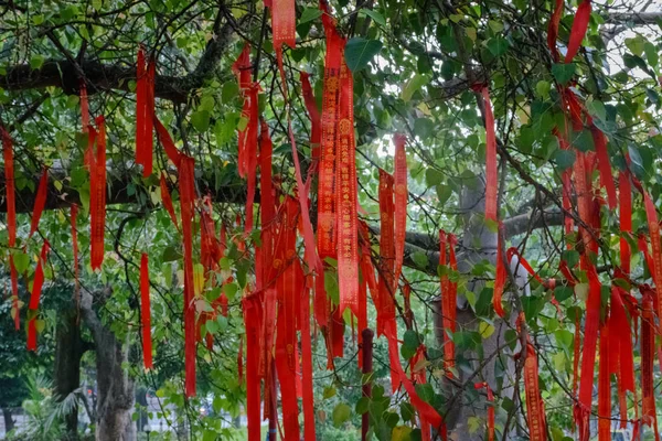 Semarang, Endonezya - 3 Aralık 2017 : Vihara Buddhagaya Watugong'daki Bodhi Ağacı. Vihara Buddhagaya Semarang, Endonezya'da bulunan Budist tapınağıdır.. — Stok fotoğraf