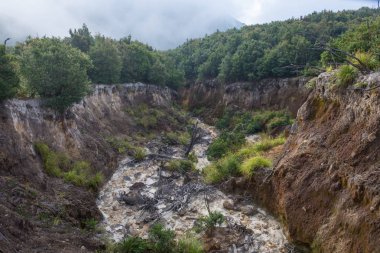 Papandayan Dağı'nın ölü ormanı turistler için en popüler yerdir. Geçmişteki volkanik patlamanın mirasının güzelliği. Papandayan Dağı Garut üzerinde yürüyüş için favori yerden biridir.